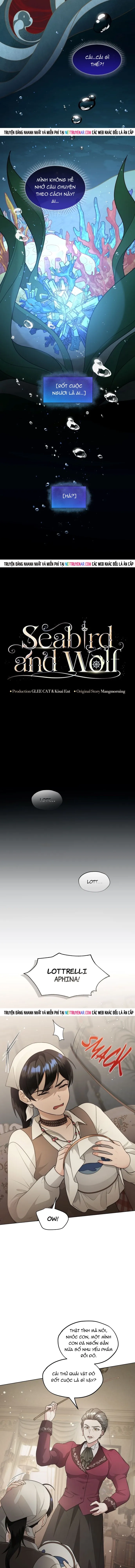 Hải Âu & Sói Hoang Chapter 59 - 6