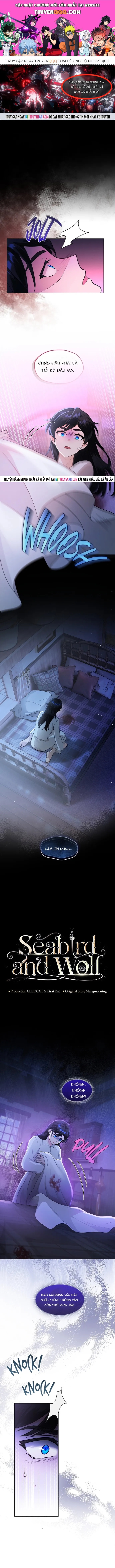 Hải Âu & Sói Hoang Chapter 60 - 1