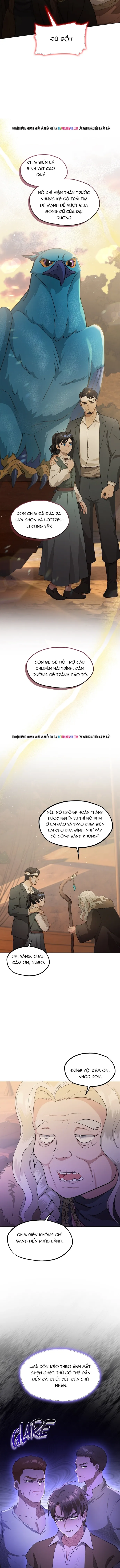 Hải Âu & Sói Hoang Chapter 61 - 13