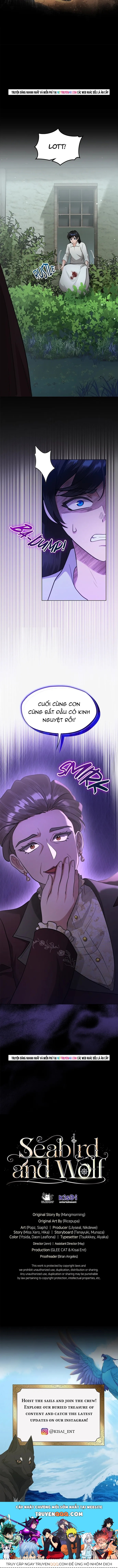 Hải Âu & Sói Hoang Chapter 61 - 16