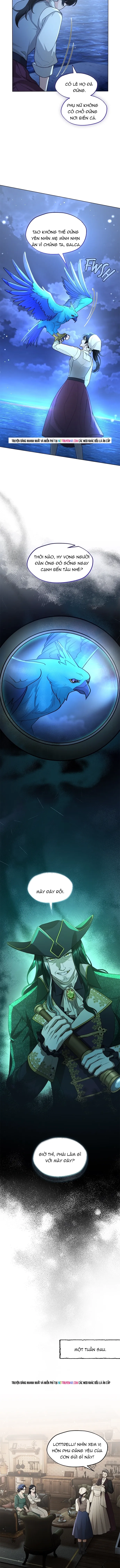 Hải Âu & Sói Hoang Chapter 62 - 8
