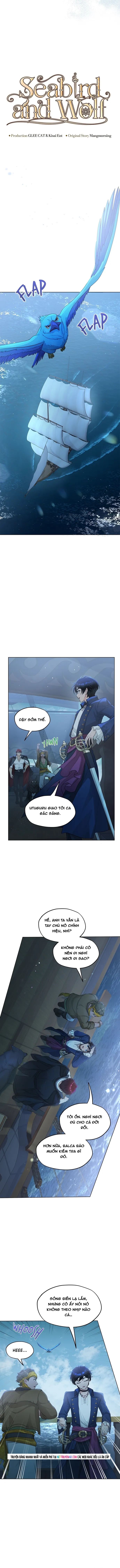 Hải Âu & Sói Hoang Chapter 64 - 4