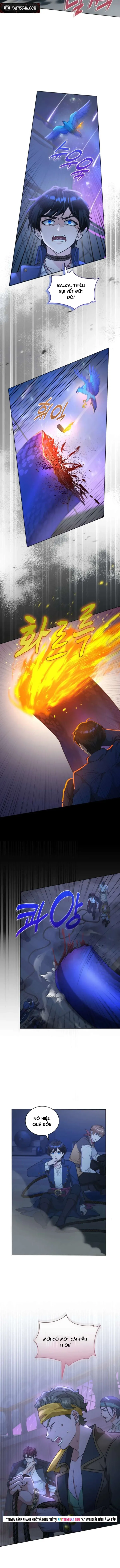 Hải Âu & Sói Hoang Chapter 65 - 12