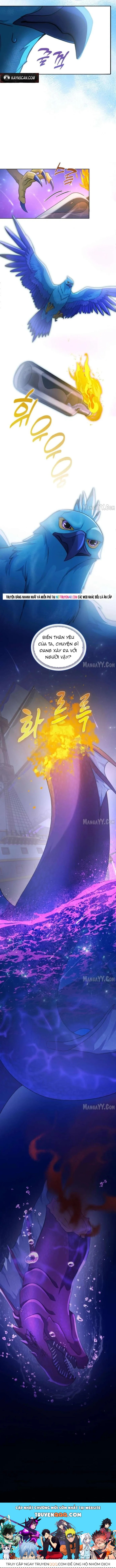 Hải Âu & Sói Hoang Chapter 66 - 11