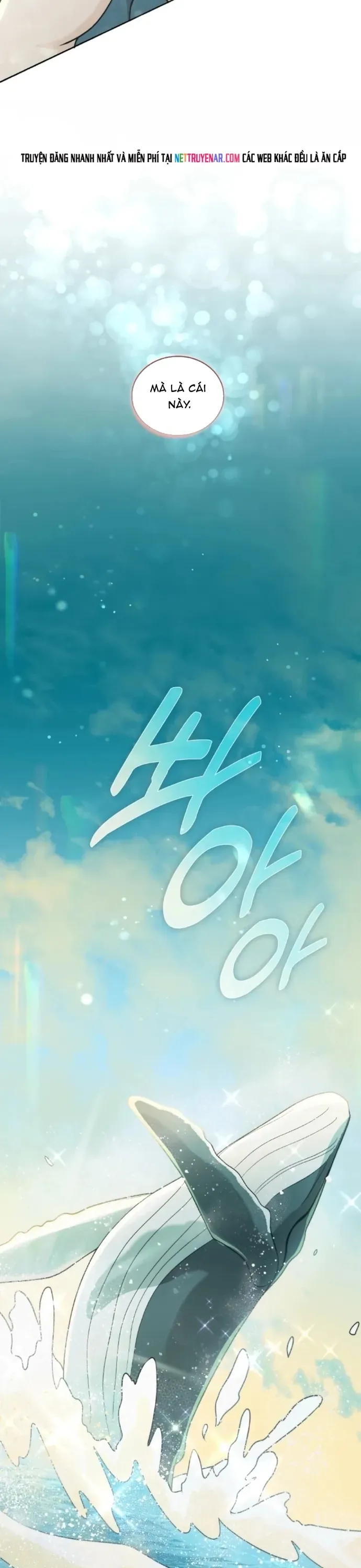 Hải Âu & Sói Hoang Chapter 68 - 33