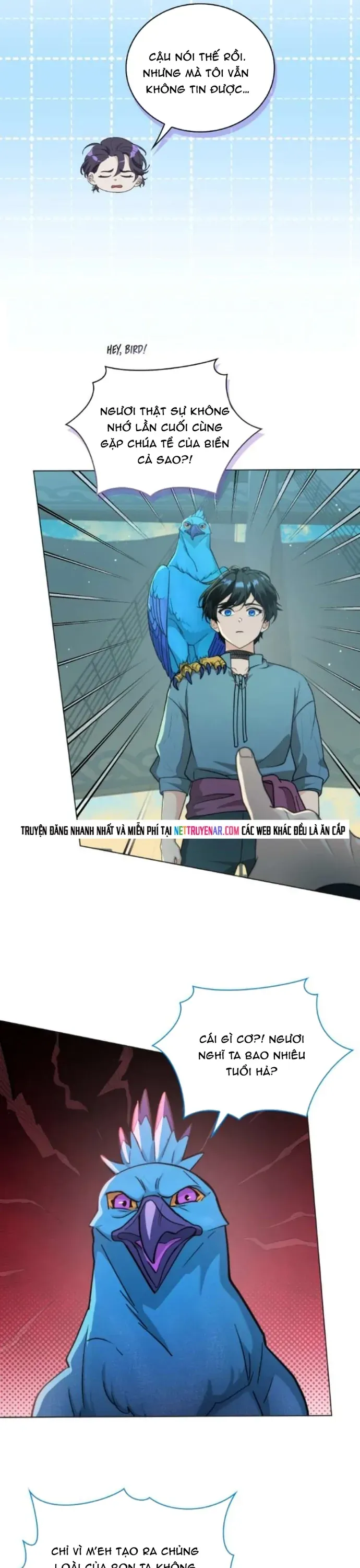 Hải Âu & Sói Hoang Chapter 70 - 17