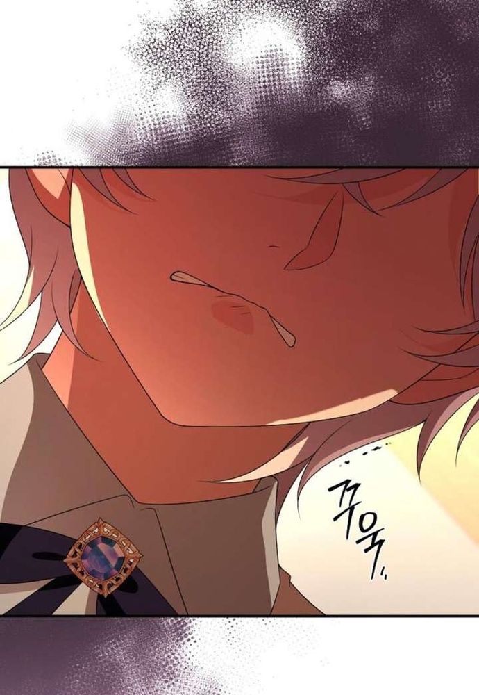 Thiếu Nữ Bị Ruồng Bỏ: Kế Hoạch Báo Thù Của Gia Tộc Pháp Sư Chapter 49 - 88