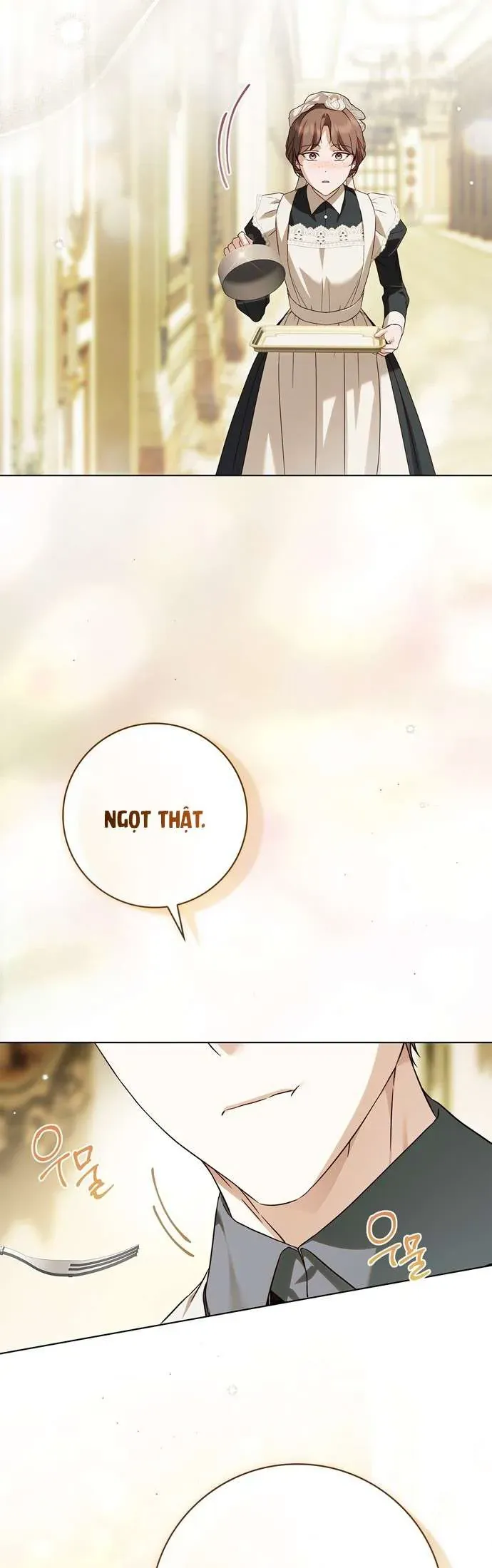 Hầu Nữ Bí Mật Của Bá Tước Chapter 61 - 37