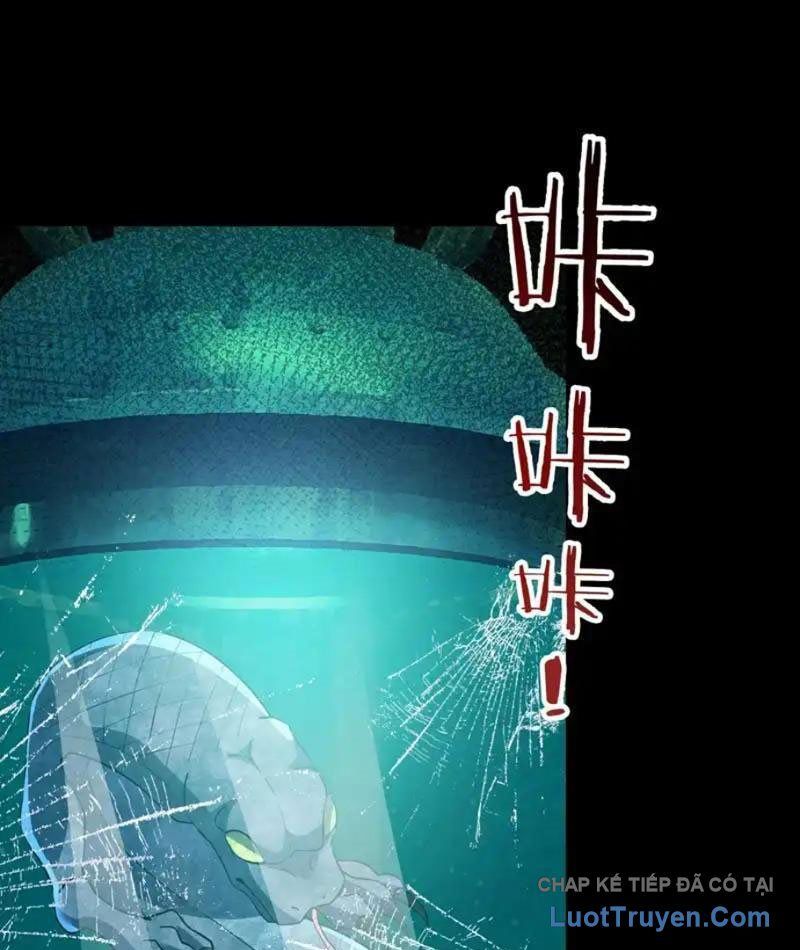 Toàn Cầu Sợ Hãi: Tôi Mở Hack Tự Chọn Cửa Hàng Chapter 37 - 2