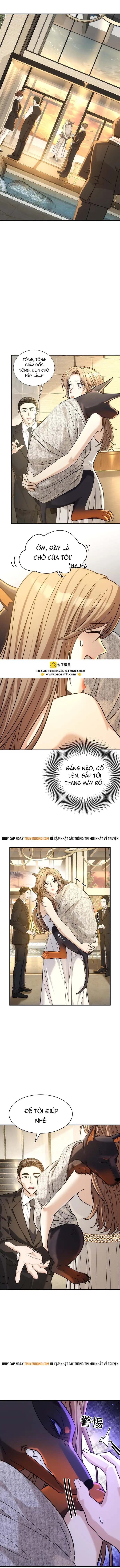 Vô Tình Kết Hôn Với Tổng Tài Chapter 42 - 6