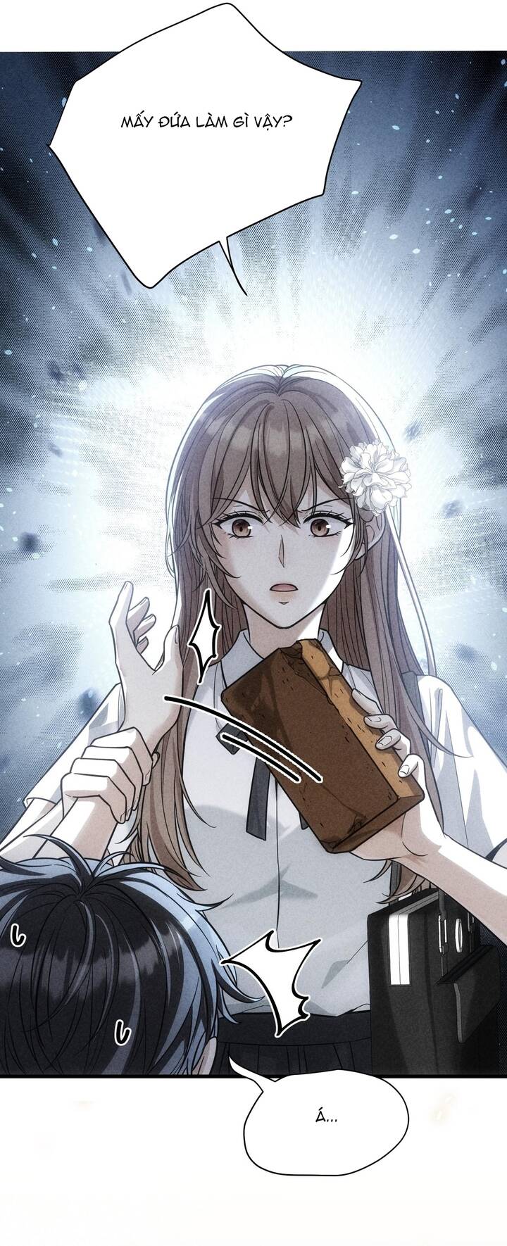 Vô Tình Kết Hôn Với Tổng Tài Chapter 47 - 13