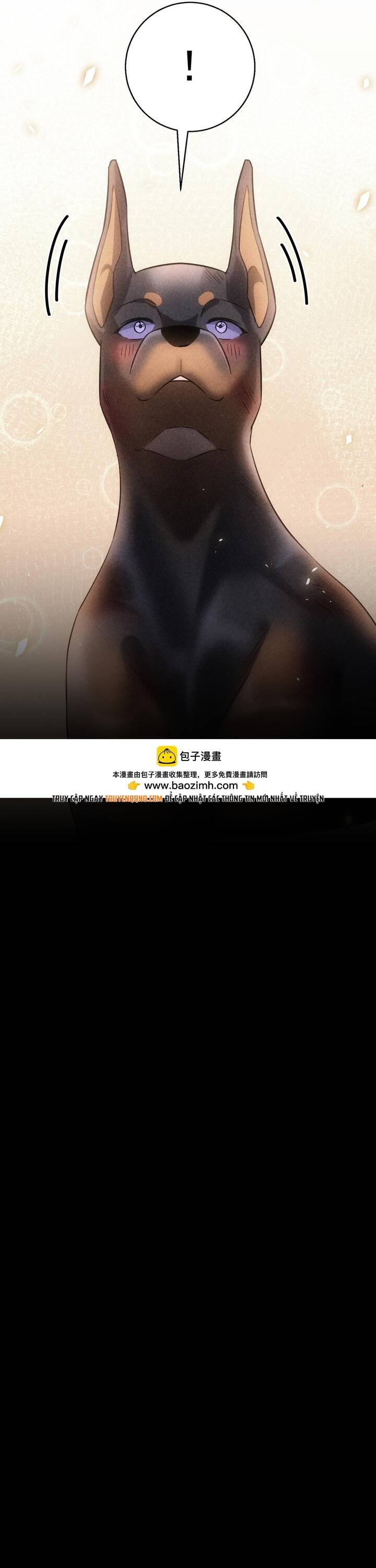 Vô Tình Kết Hôn Với Tổng Tài Chapter 47 - 14