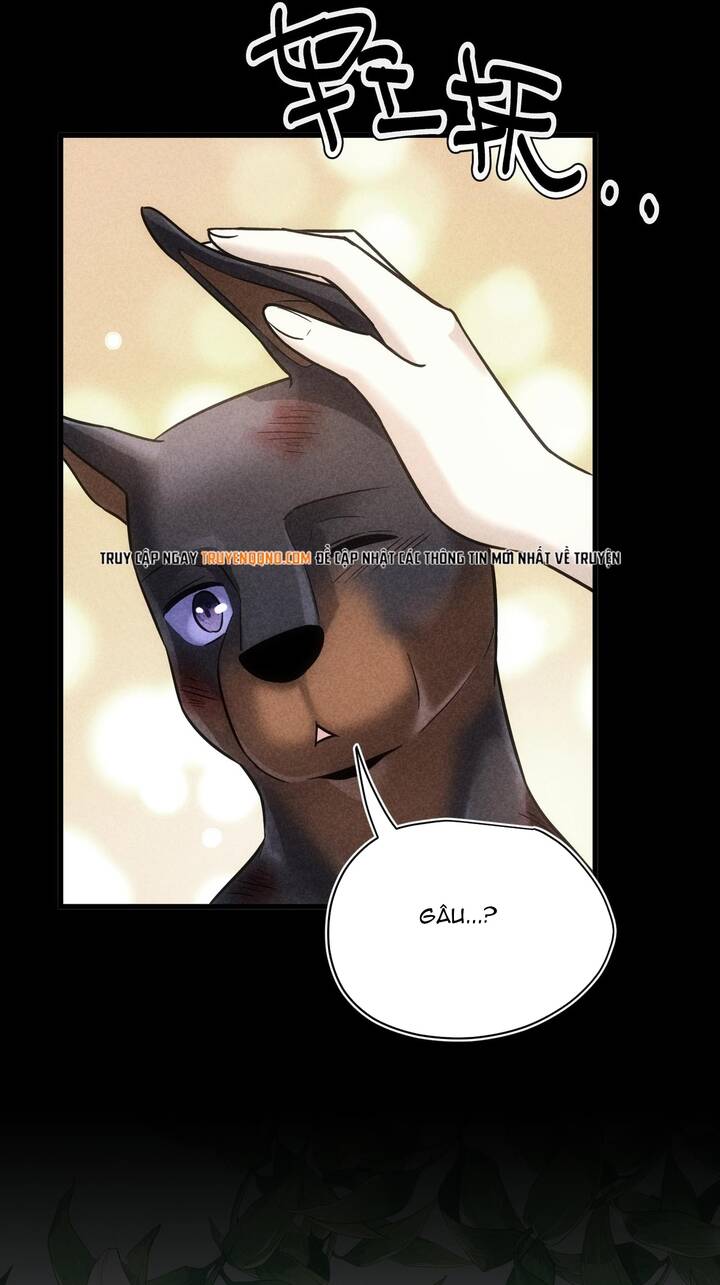 Vô Tình Kết Hôn Với Tổng Tài Chapter 47 - 16