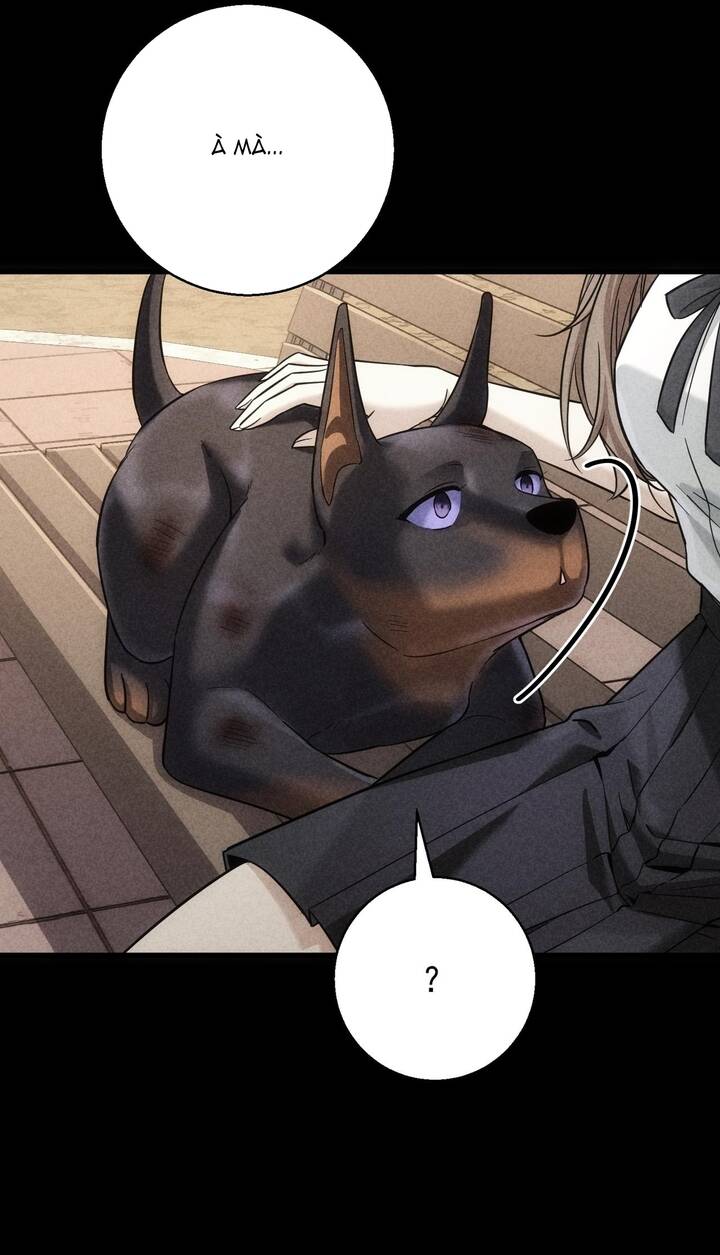 Vô Tình Kết Hôn Với Tổng Tài Chapter 47 - 23