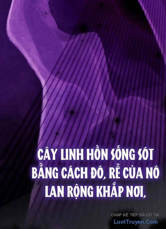 Pháp Sư Thiên Tài Phá Vỡ Giới Hạn Chapter 38 - 32