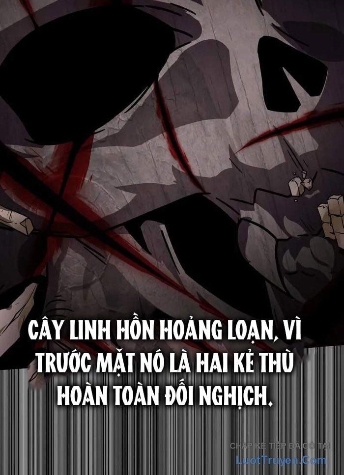 Pháp Sư Thiên Tài Phá Vỡ Giới Hạn Chapter 38 - 98