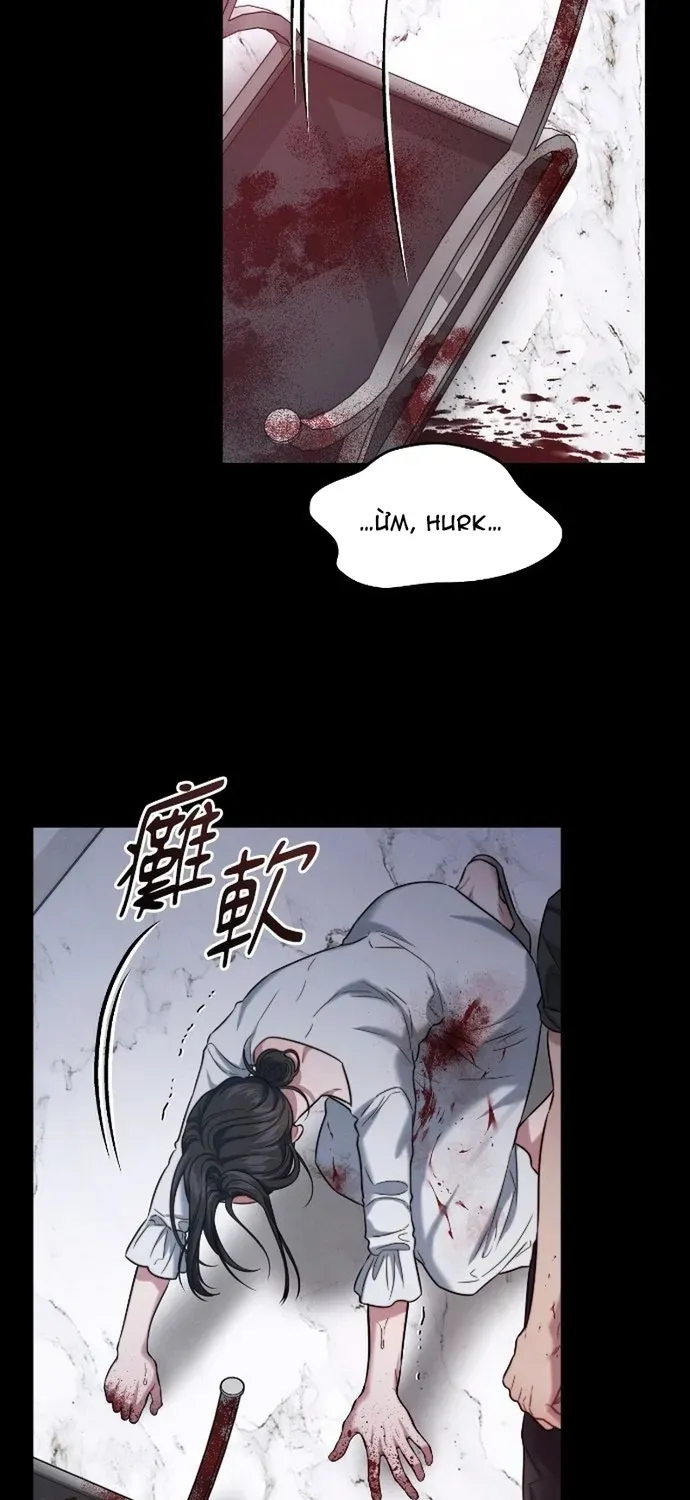 Cạm Bẫy Thanh Lịch Chapter 105 - 24