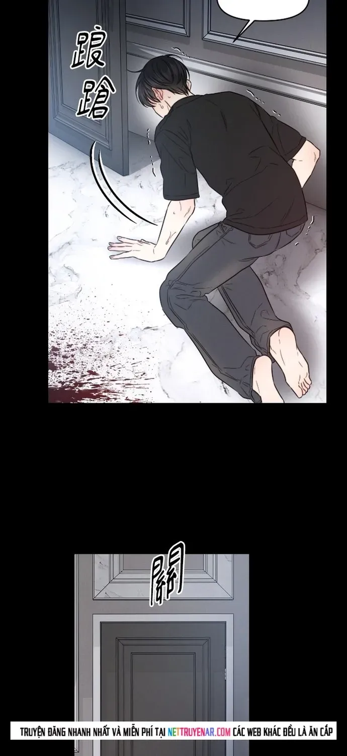 Cạm Bẫy Thanh Lịch Chapter 105 - 38