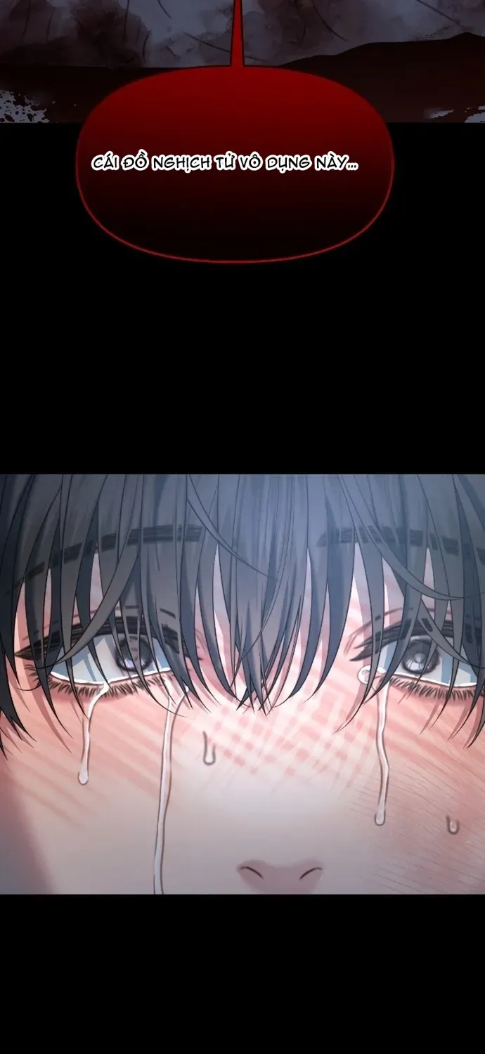 Cạm Bẫy Thanh Lịch Chapter 105 - 5