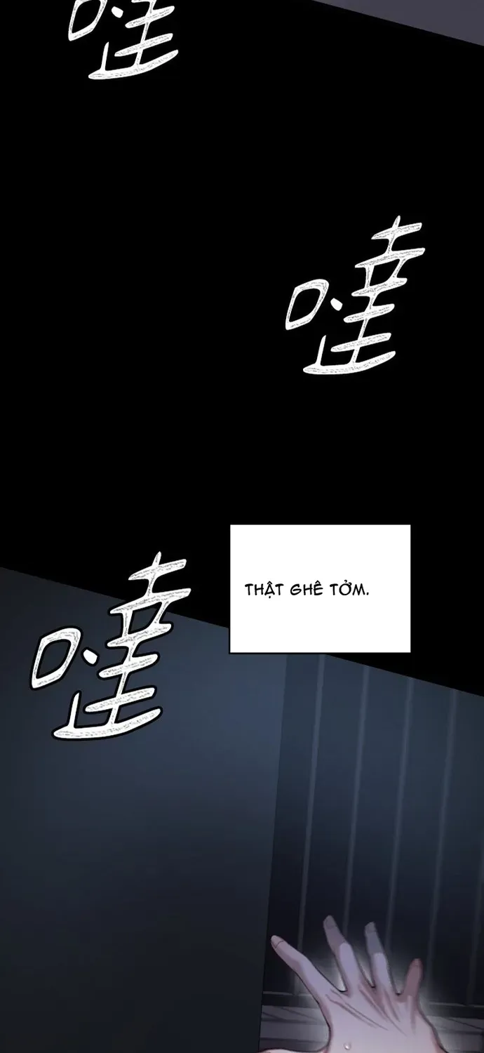 Cạm Bẫy Thanh Lịch Chapter 105 - 43