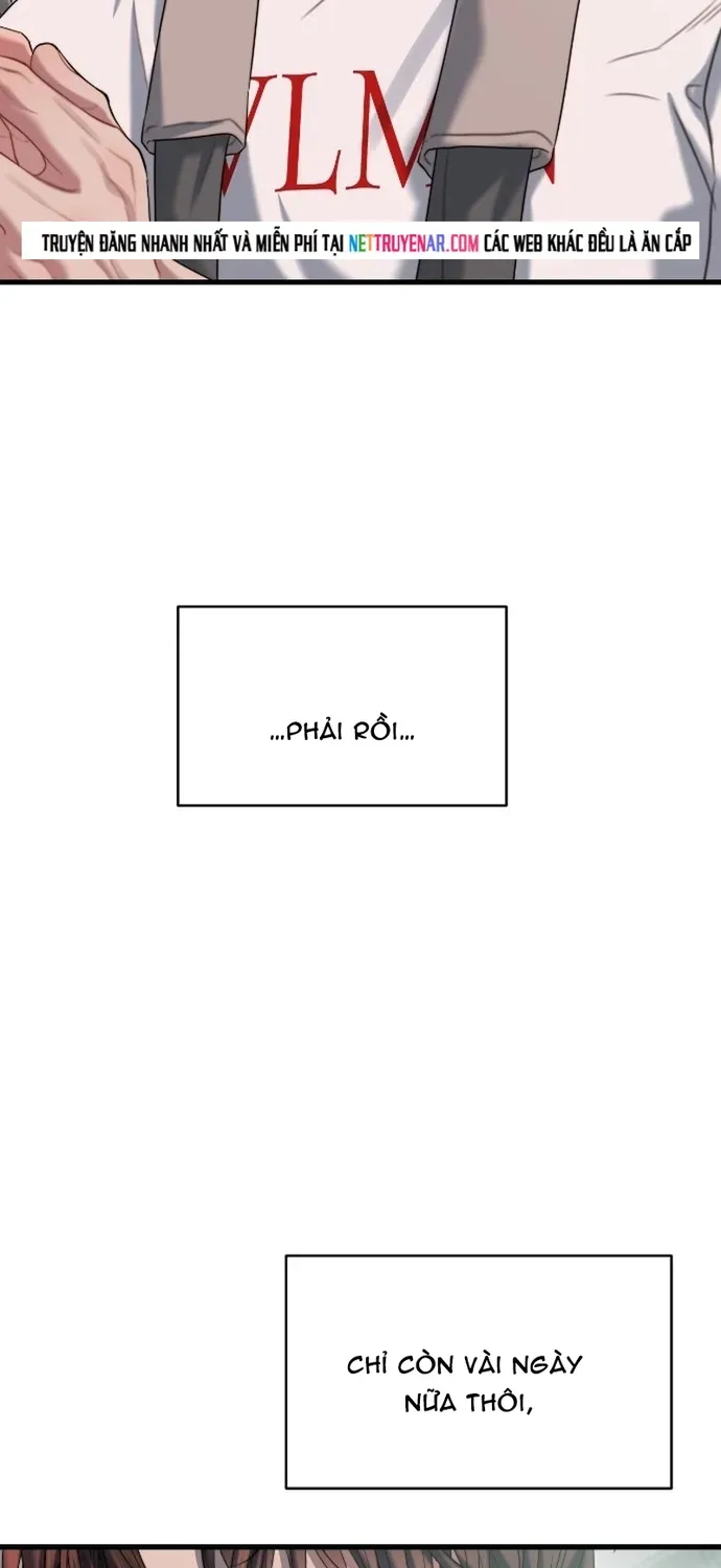 Cạm Bẫy Thanh Lịch Chapter 77 - 67