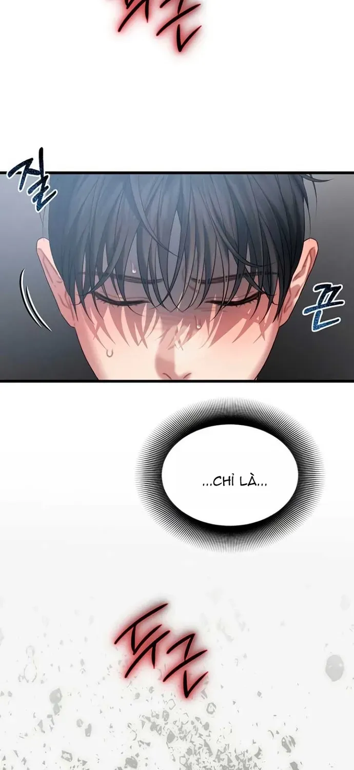 Cạm Bẫy Thanh Lịch Chapter 79 - 15