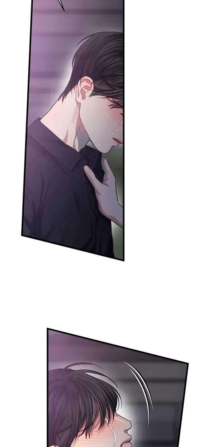 Cạm Bẫy Thanh Lịch Chapter 89 - 18