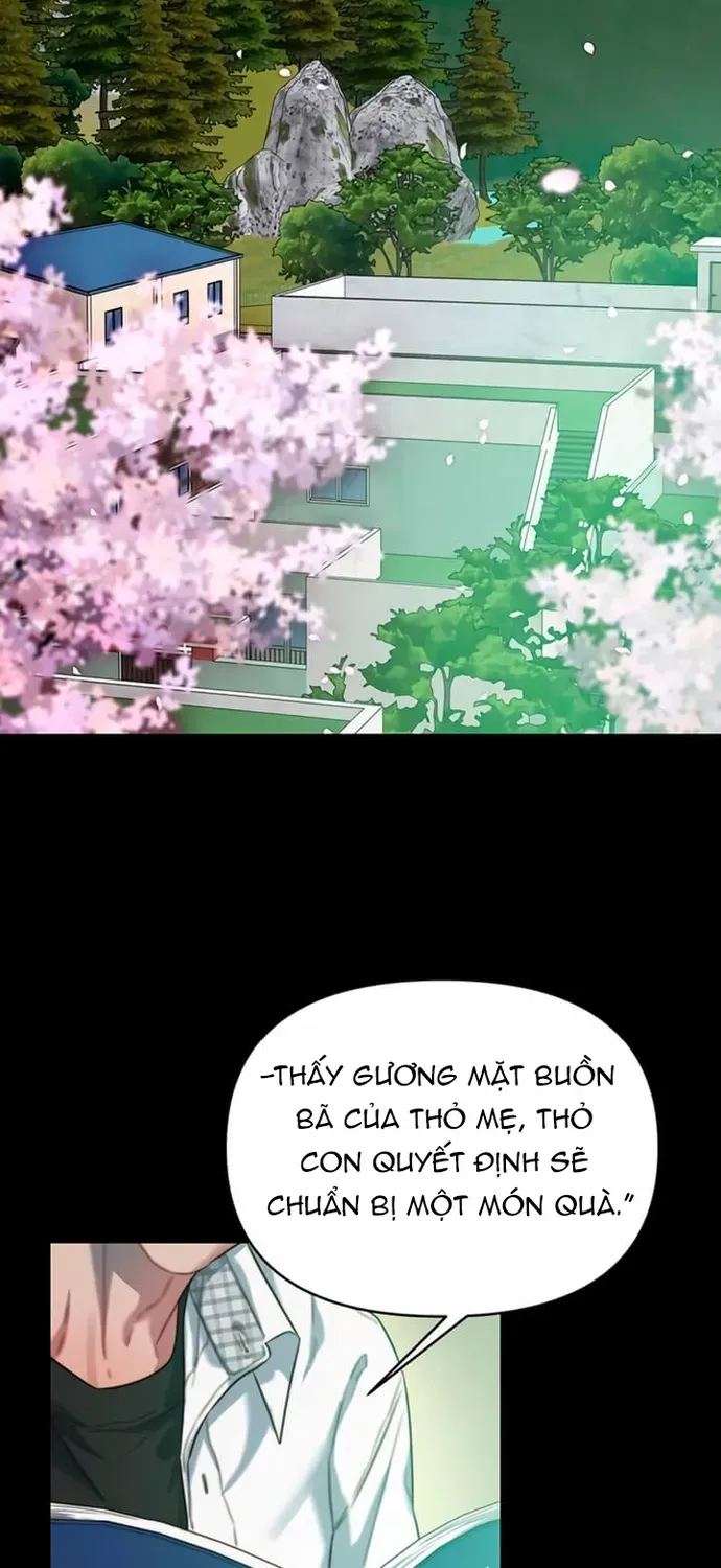 Cạm Bẫy Thanh Lịch Chapter 91 - 38