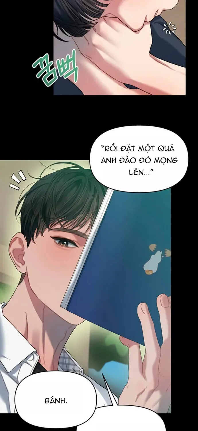 Cạm Bẫy Thanh Lịch Chapter 91 - 41