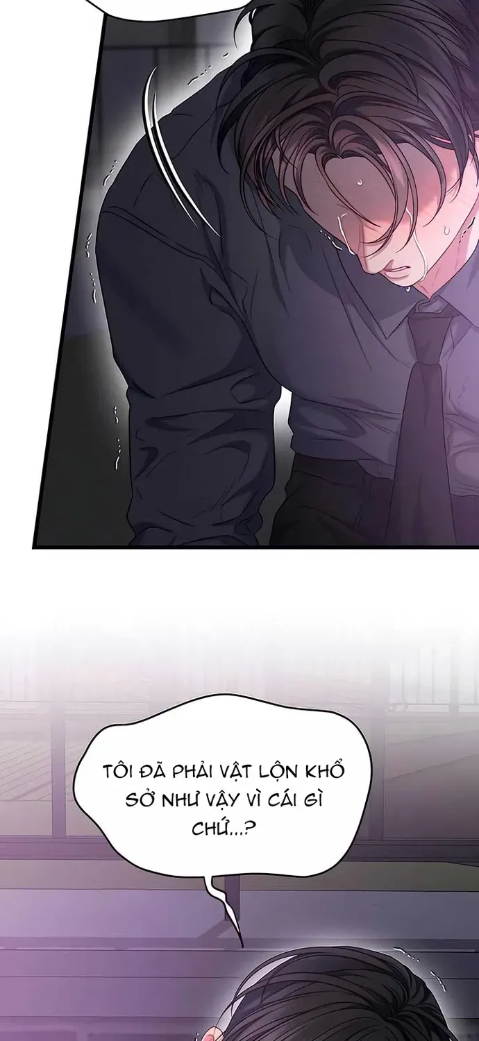 Cạm Bẫy Thanh Lịch Chapter 94 - 42