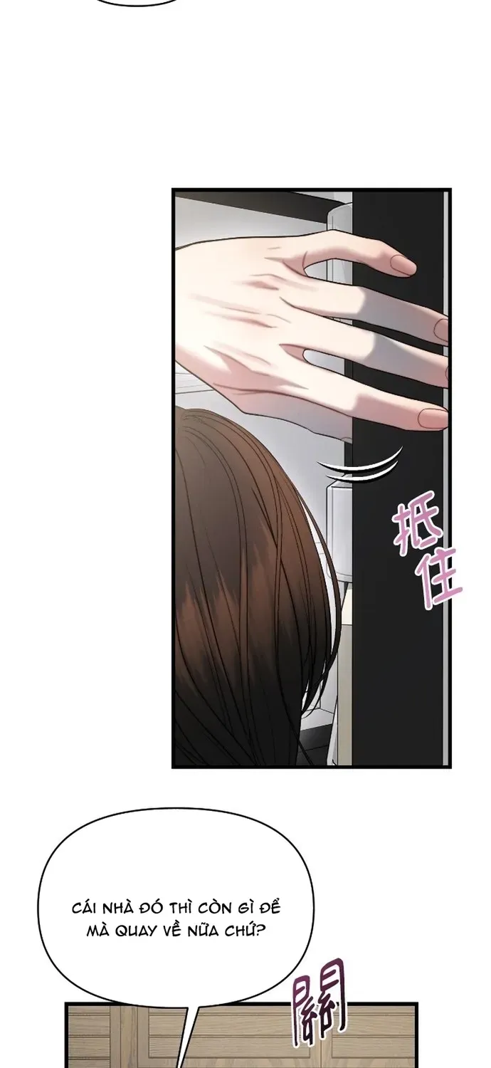 Cạm Bẫy Thanh Lịch Chapter 95 - 22