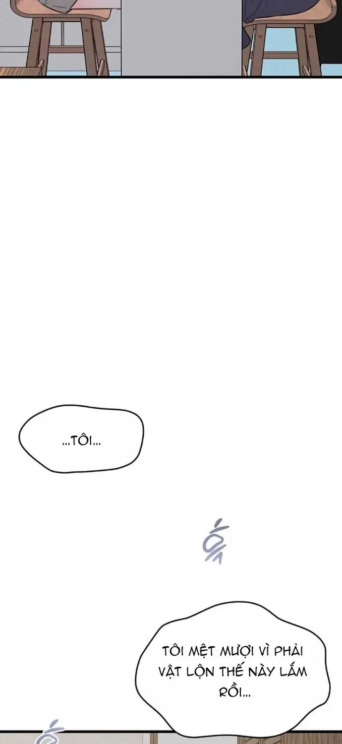 Cạm Bẫy Thanh Lịch Chapter 99 - 22