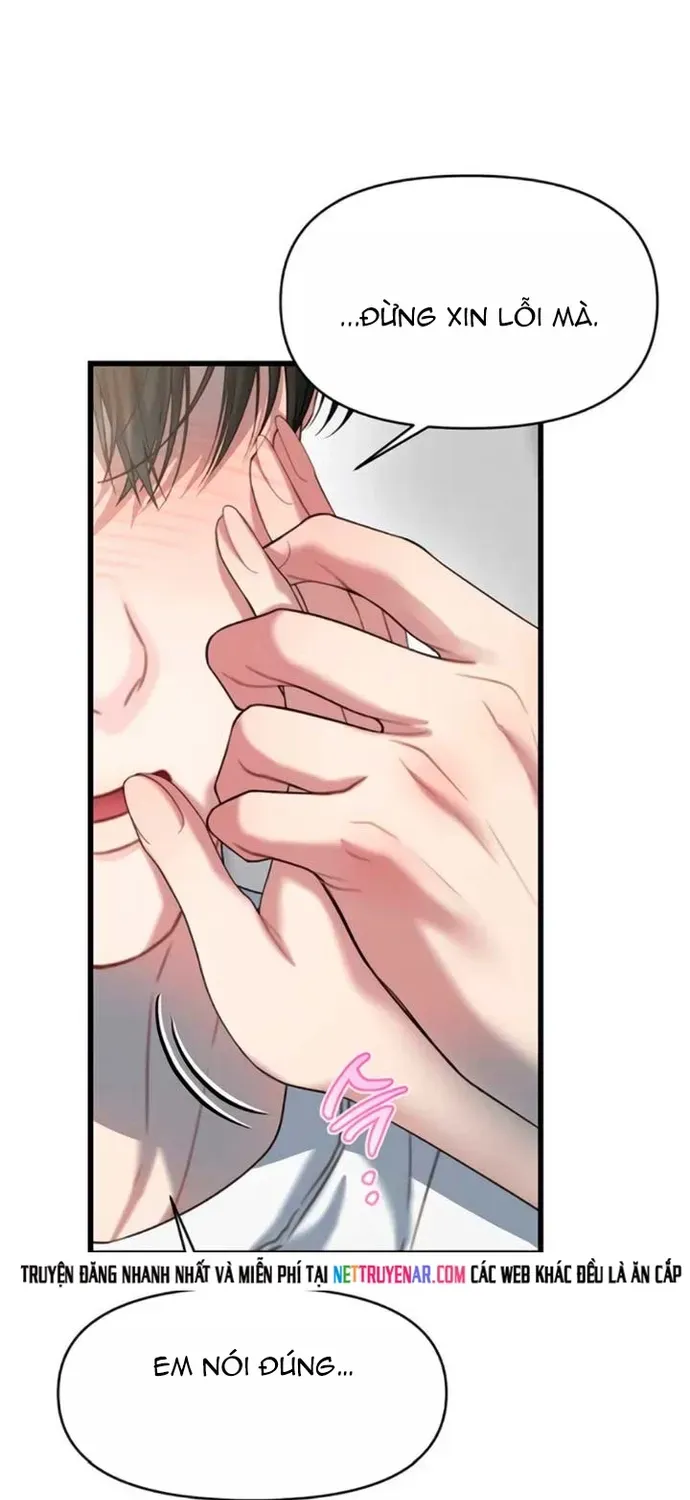 Cạm Bẫy Thanh Lịch Chapter 99 - 61