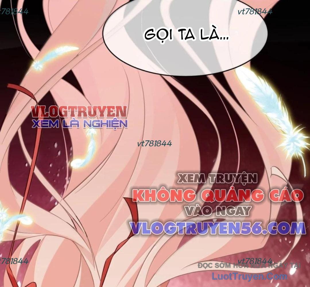 Vượt Cấp Xuyên Không, Tại Sao Tôi Lại Trở Thành Tiểu Thư Tu Sĩ? Chapter 61 - 118