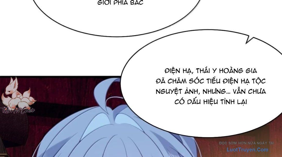 Vượt Cấp Xuyên Không, Tại Sao Tôi Lại Trở Thành Tiểu Thư Tu Sĩ? Chapter 62 - 87