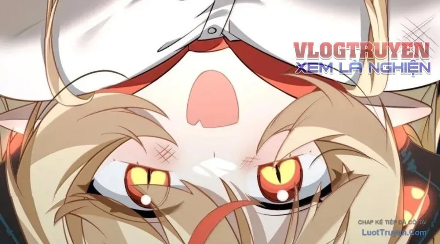 Vượt Cấp Xuyên Không, Tại Sao Tôi Lại Trở Thành Tiểu Thư Tu Sĩ? Chapter 63 - 88