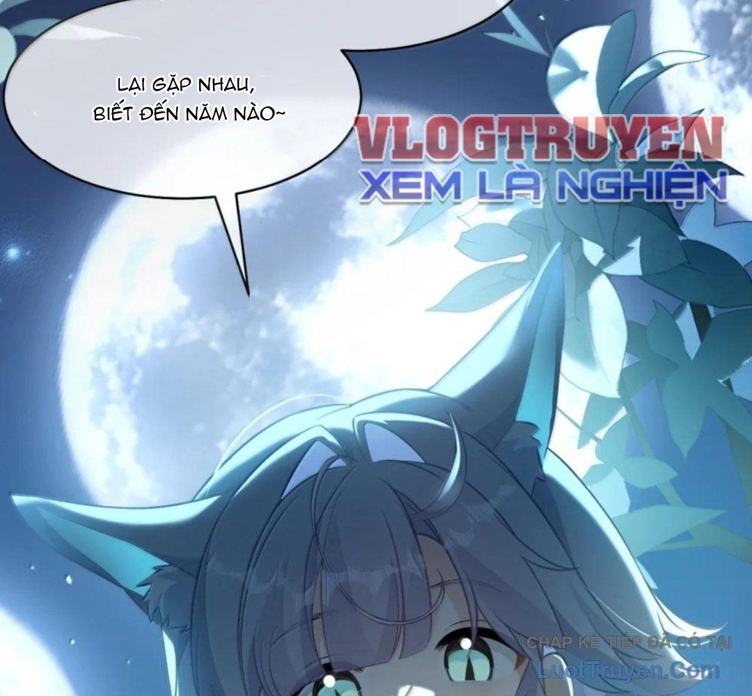 Vượt Cấp Xuyên Không, Tại Sao Tôi Lại Trở Thành Tiểu Thư Tu Sĩ? Chapter 65 - 47