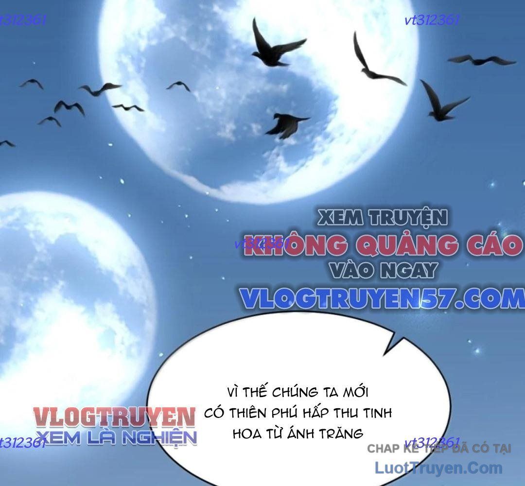 Vượt Cấp Xuyên Không, Tại Sao Tôi Lại Trở Thành Tiểu Thư Tu Sĩ? Chapter 65 - 79