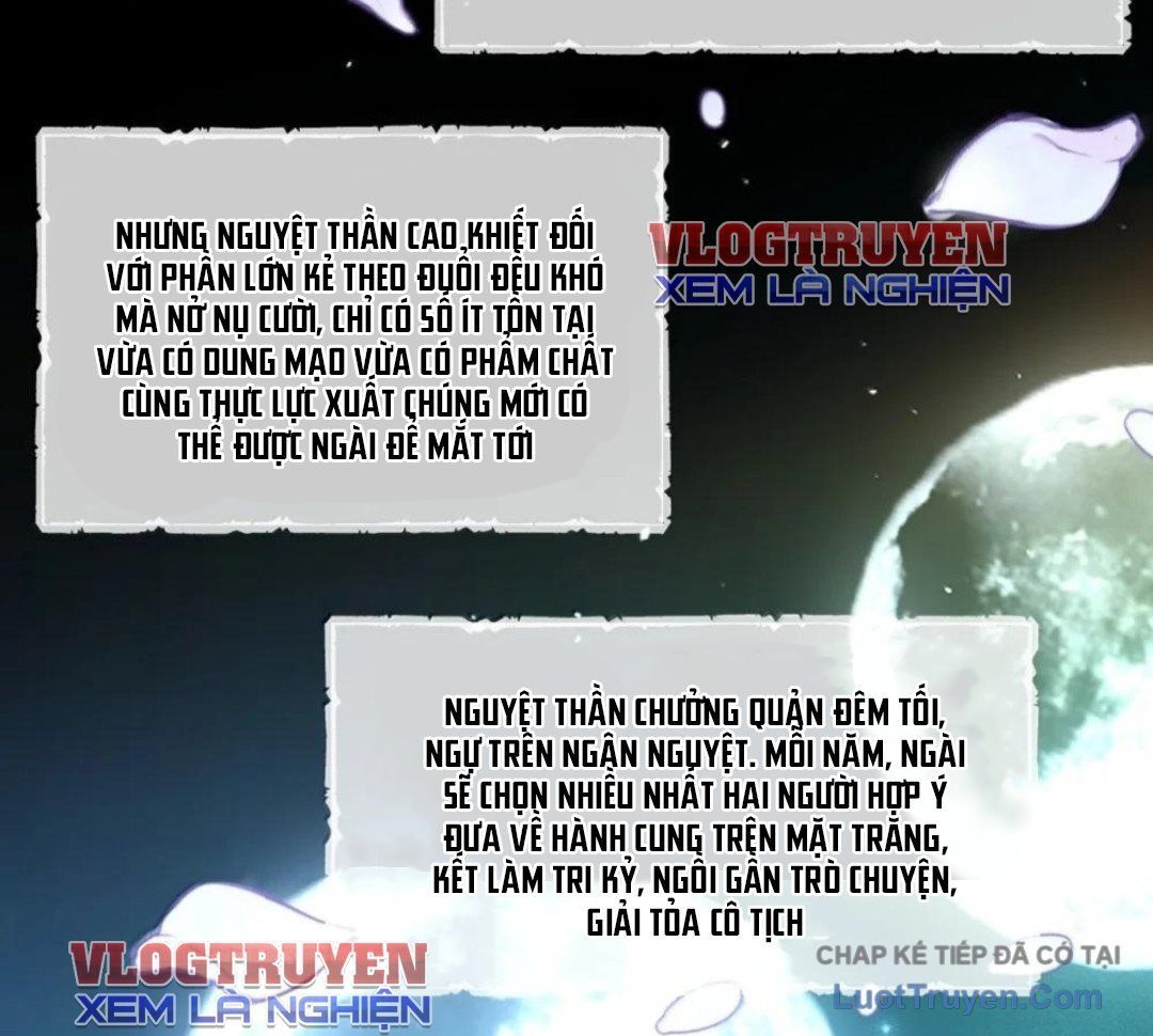 Vượt Cấp Xuyên Không, Tại Sao Tôi Lại Trở Thành Tiểu Thư Tu Sĩ? Chapter 65 - 97