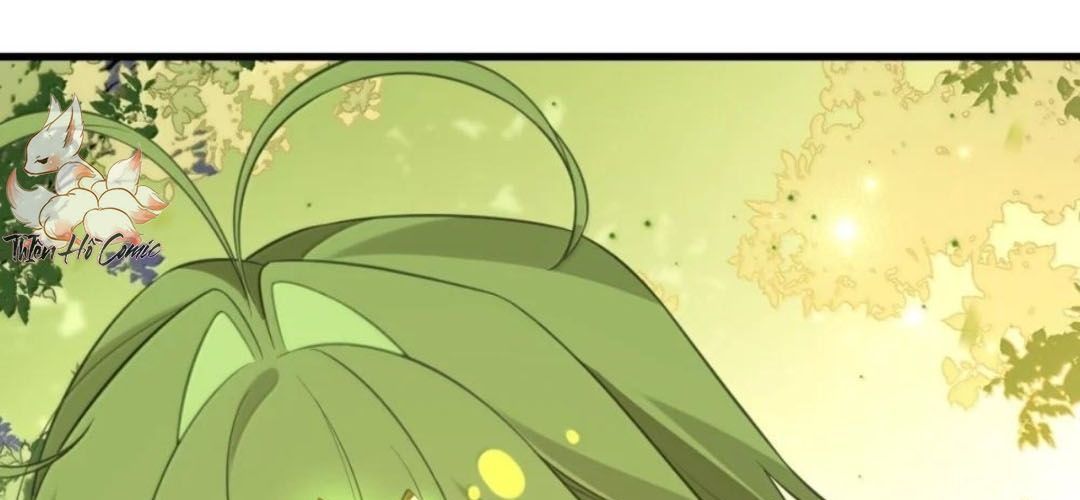 Vượt Cấp Xuyên Không, Tại Sao Tôi Lại Trở Thành Tiểu Thư Tu Sĩ? Chapter 66 - 75