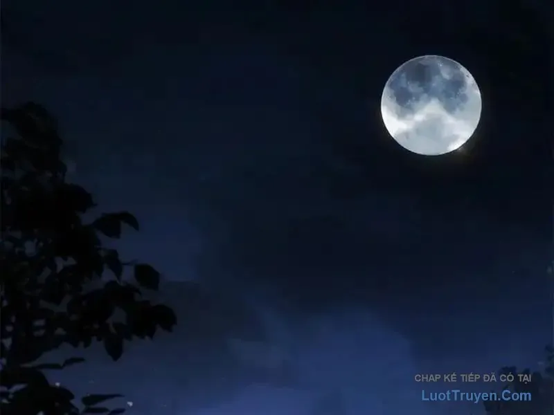 Giáo Chủ Ma Giáo Vụng Trộm Xem Ta Tu Luyện Chapter 37 - 38
