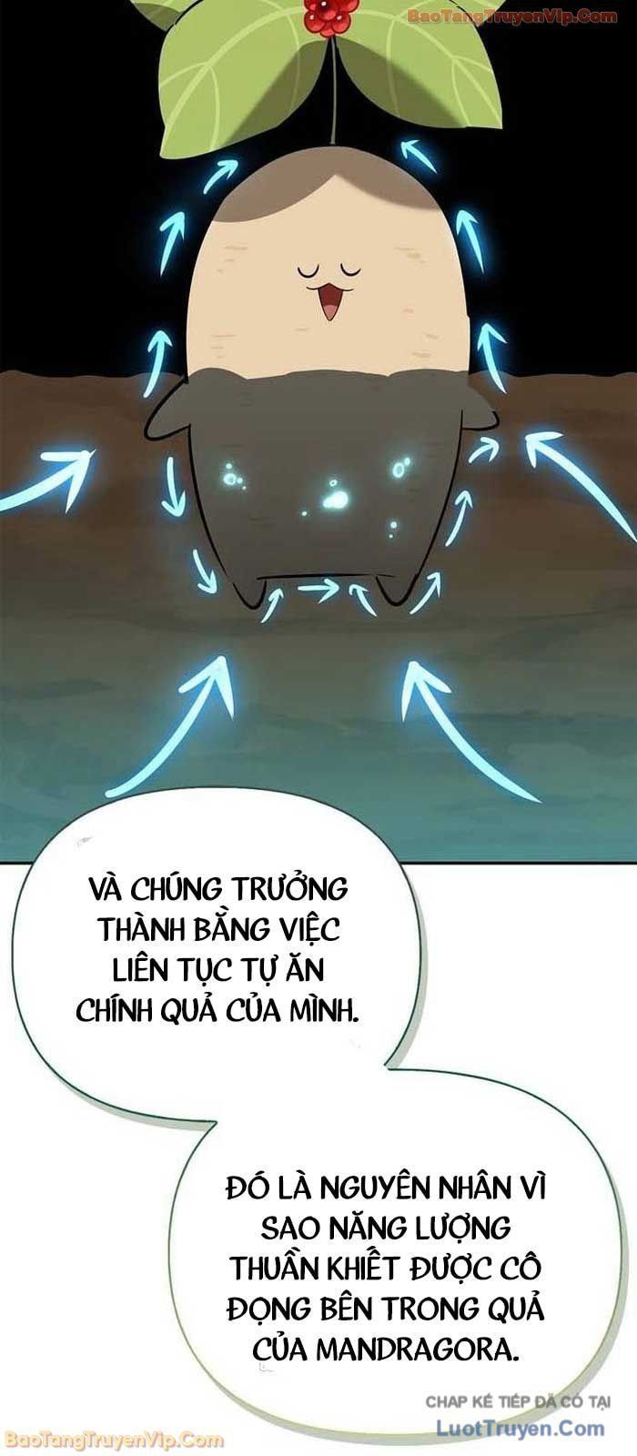 Healer Cấp S Chữa Trị Cho Quái Vật Chapter 23 - 85