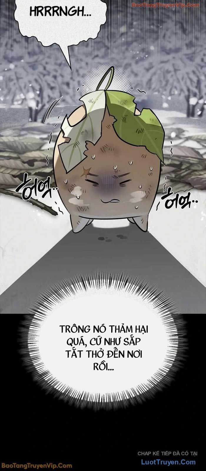 Healer Cấp S Chữa Trị Cho Quái Vật Chapter 24 - 5