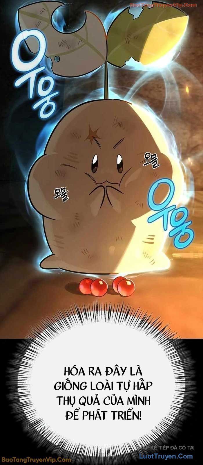 Healer Cấp S Chữa Trị Cho Quái Vật Chapter 24 - 45