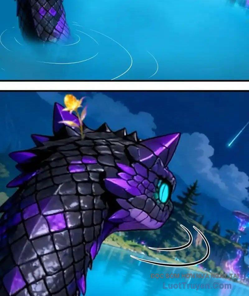Sau Khi Đầu Thai, Ta Được Kẻ Thù Khắc Thành Vô Địch Chapter 38 - 11