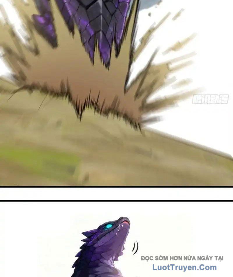 Sau Khi Đầu Thai, Ta Được Kẻ Thù Khắc Thành Vô Địch Chapter 38 - 16