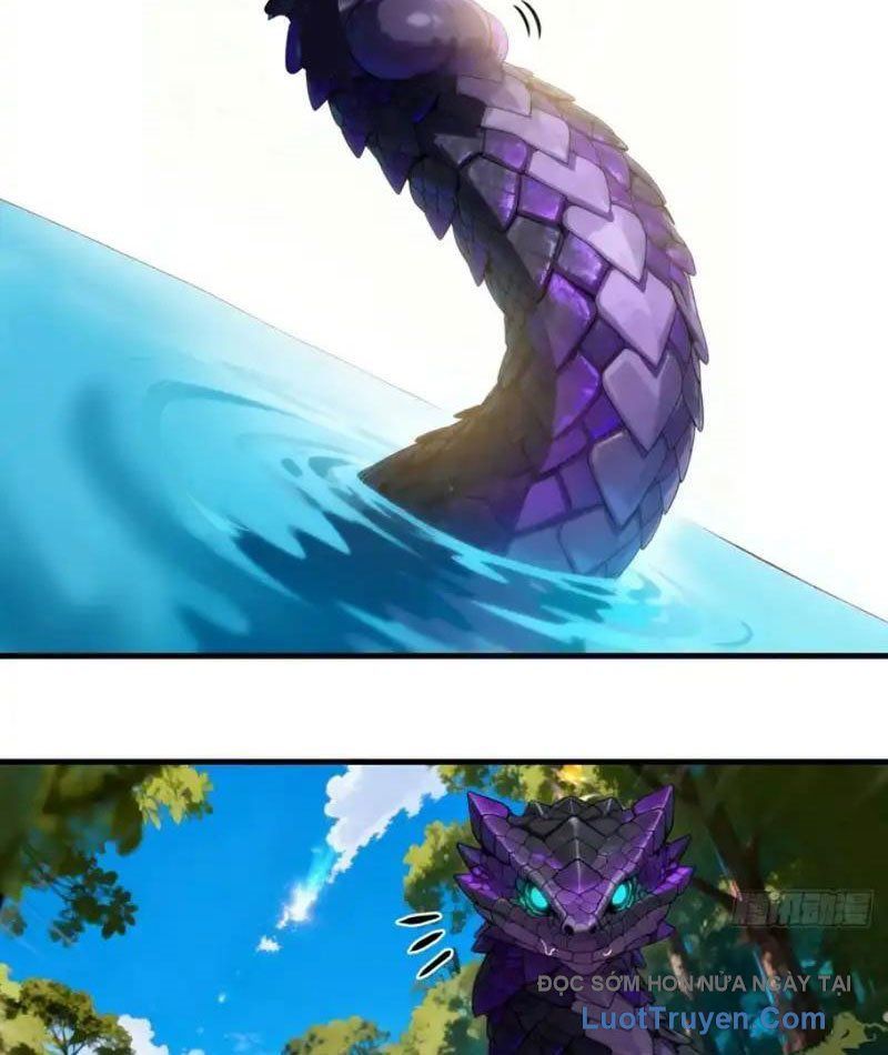 Sau Khi Đầu Thai, Ta Được Kẻ Thù Khắc Thành Vô Địch Chapter 38 - 17