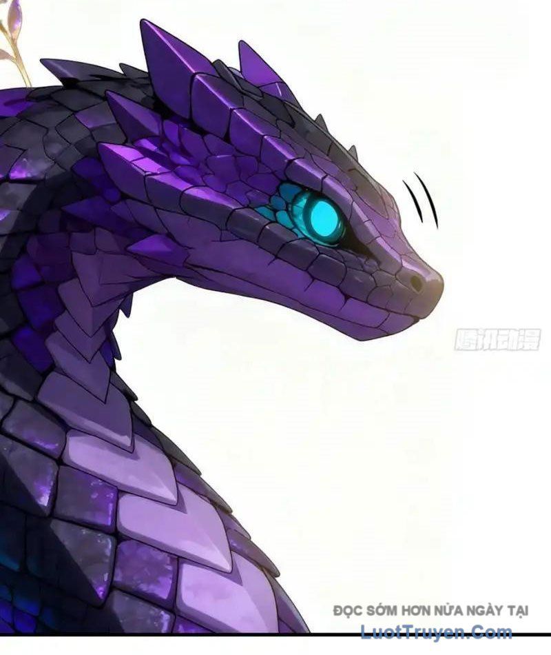 Sau Khi Đầu Thai, Ta Được Kẻ Thù Khắc Thành Vô Địch Chapter 38 - 8