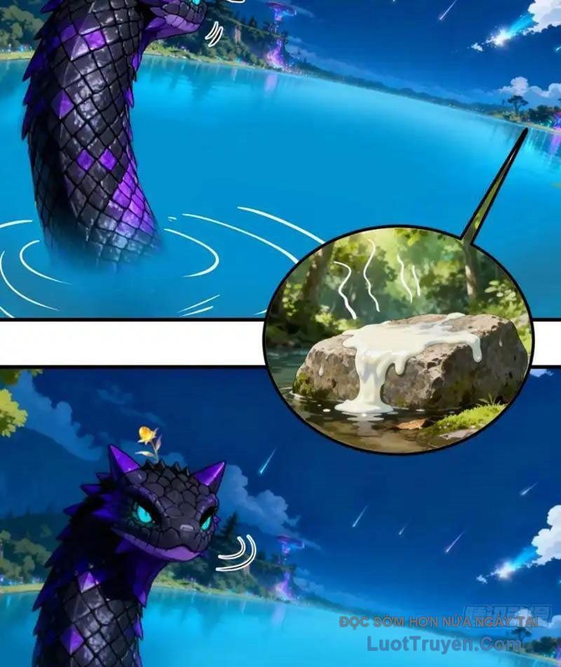 Sau Khi Đầu Thai, Ta Được Kẻ Thù Khắc Thành Vô Địch Chapter 38 - 10