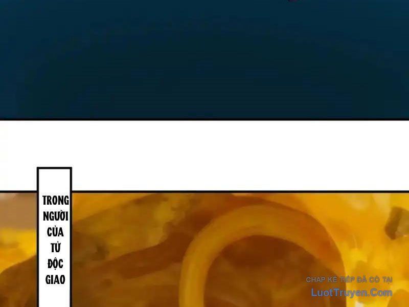 Sau Khi Đầu Thai, Ta Được Kẻ Thù Khắc Thành Vô Địch Chapter 41 - 19